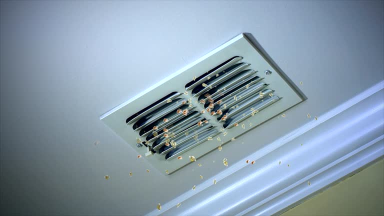 Best Affordable HVAC Duct Cleaning  in Austell, GA